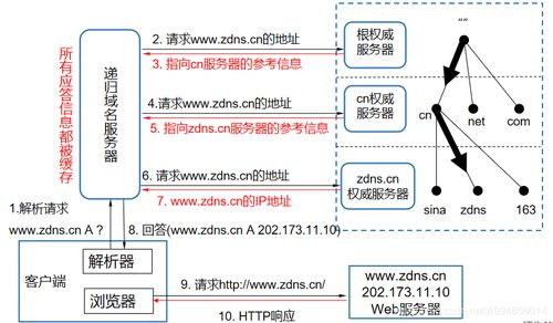 域名系統(DNS) 互聯網的“電話簿”——起源、原理與服務解析